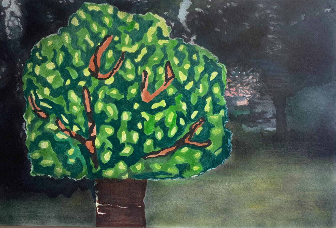 colour pencils and parkers on paper