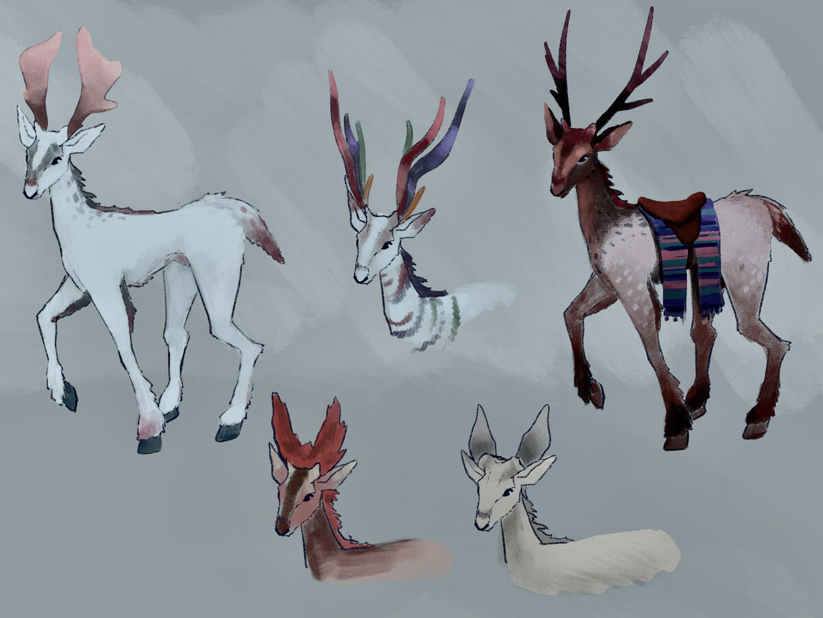 Deers