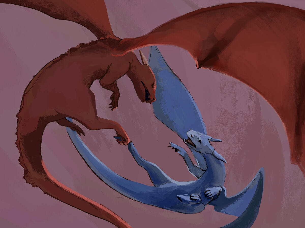 dragons fighting